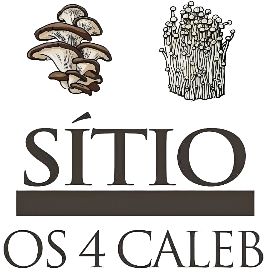 Sítio Os 4 Caleb Cogumelos