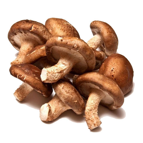 Shiitake